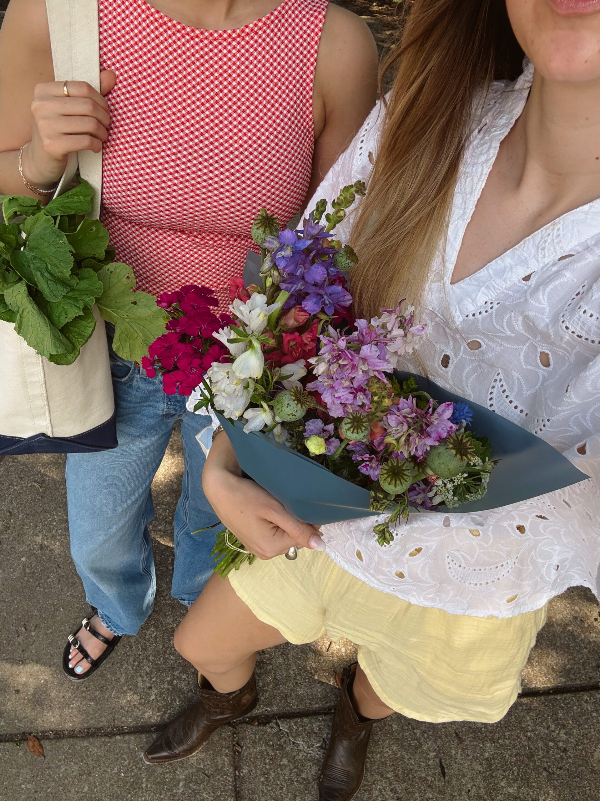 How to Grow Plants & Friendships